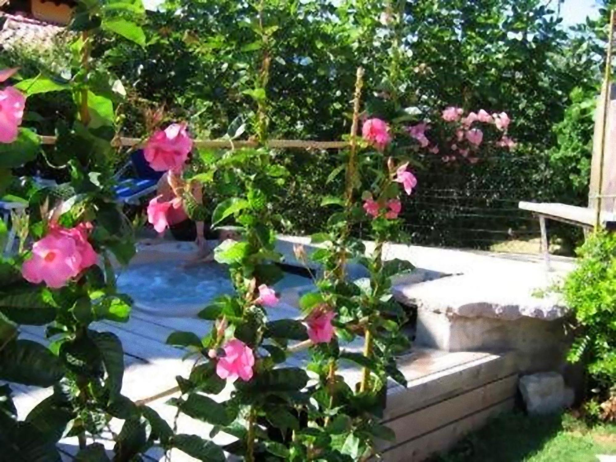 מאלצ'סינה Hotel Luna Rossa (Adults Only) מראה חיצוני תמונה