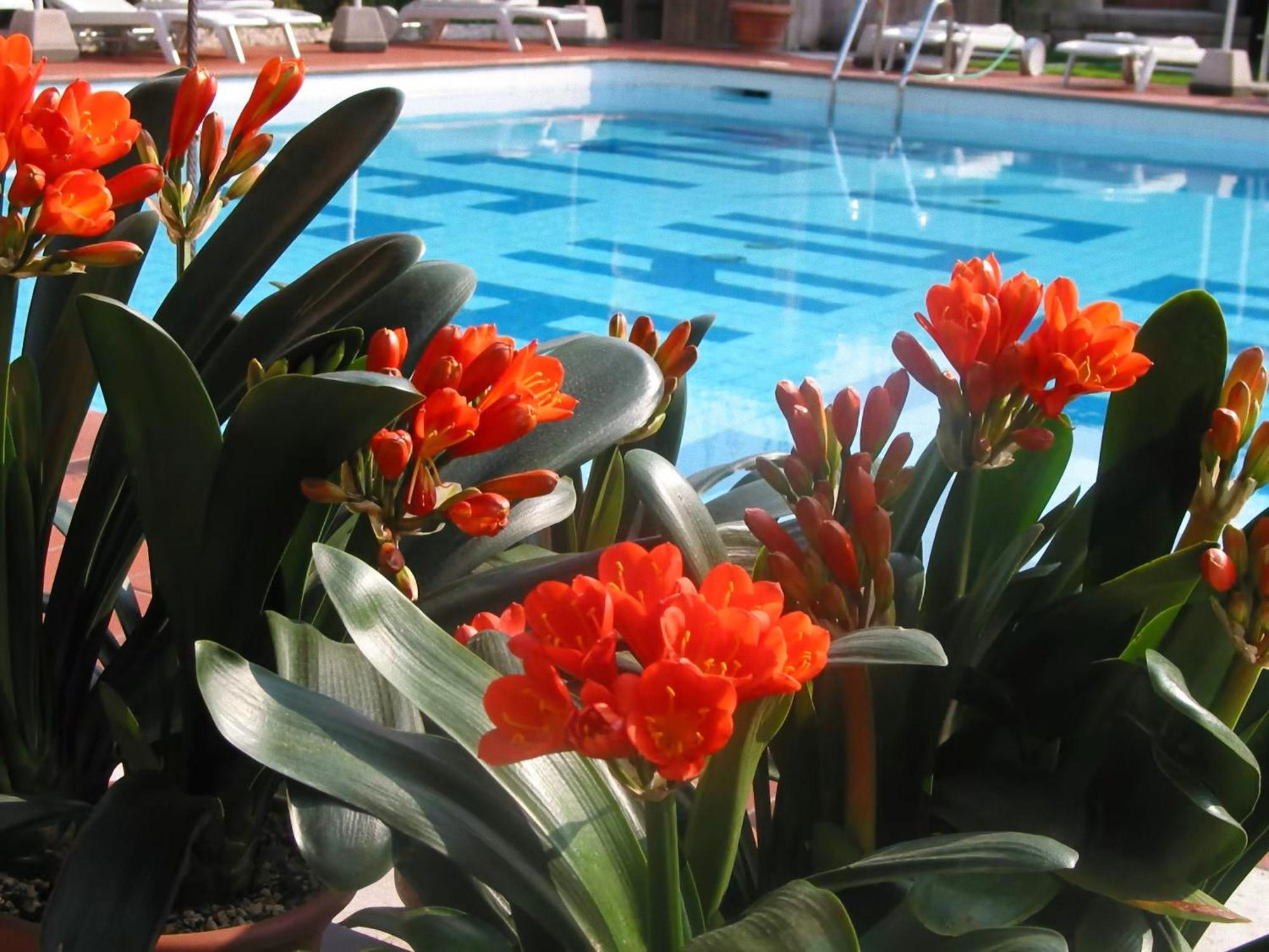 מאלצ'סינה Hotel Luna Rossa (Adults Only) מראה חיצוני תמונה